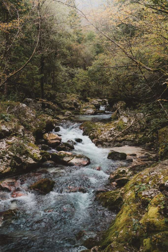 Údolí Lepena Soča Slovinsko