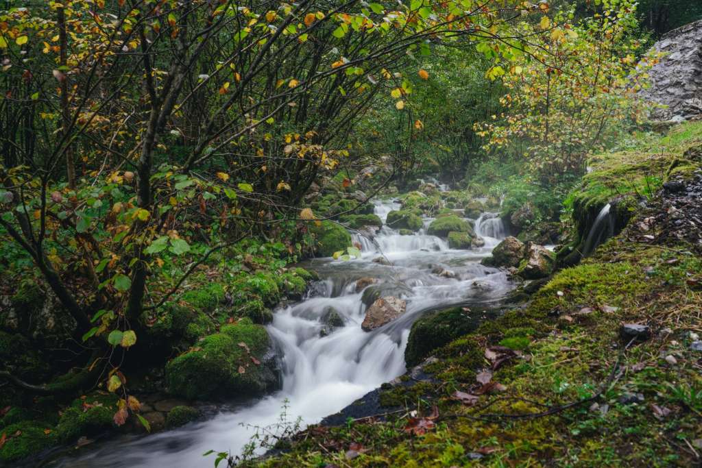 Šunikov vodni gaj Bovec Slovinsko